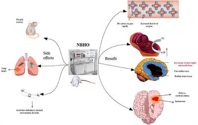 Advances in Normobaric Hyperoxia Brain Protection in Experimental Stroke